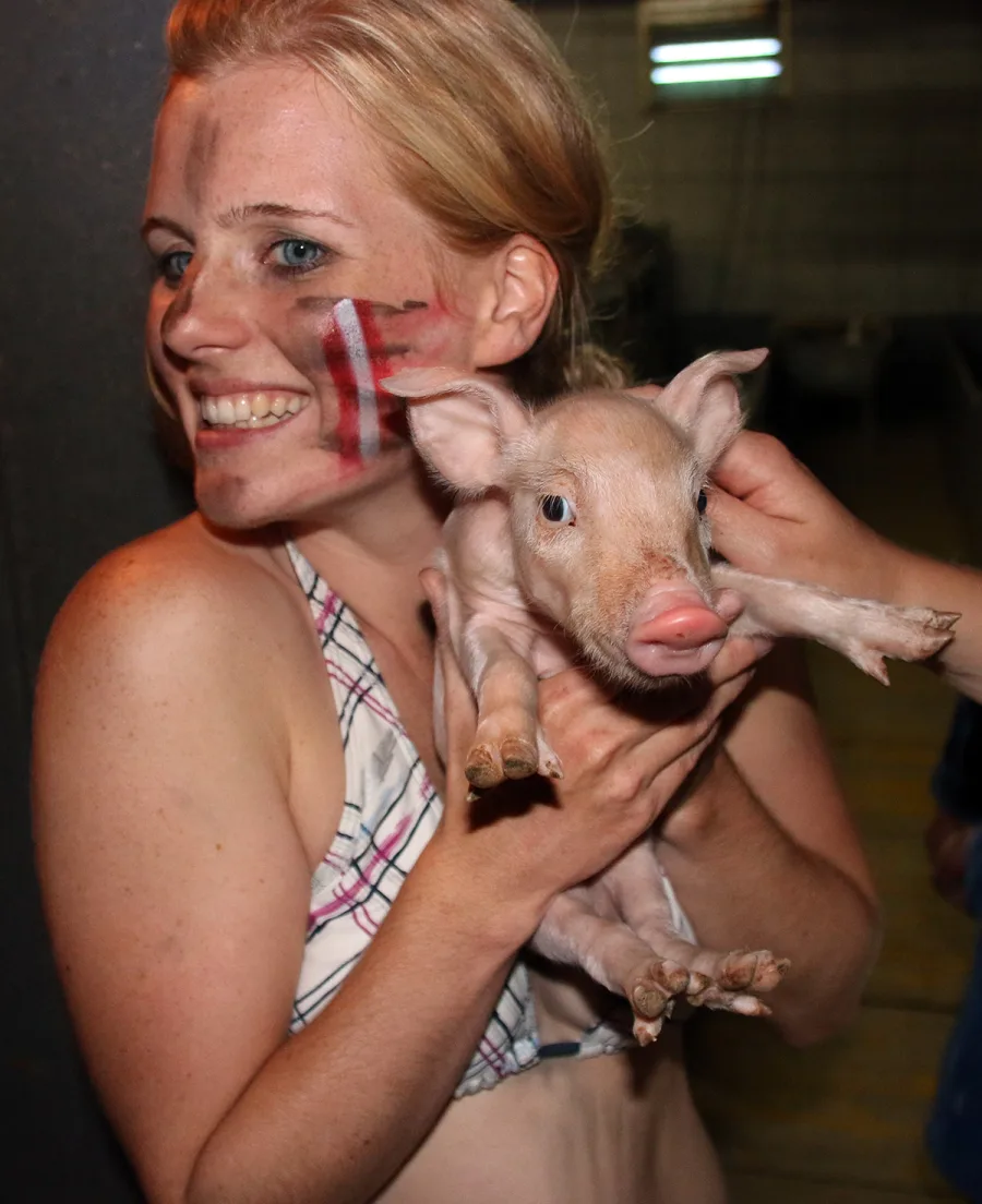 Schweinchen küssen — die tierische Mutprobe